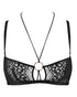 AUBADE Bustier ILLUSION FAUVE Black
