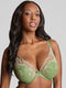 Panache Ana – High Apex Padded Plunge