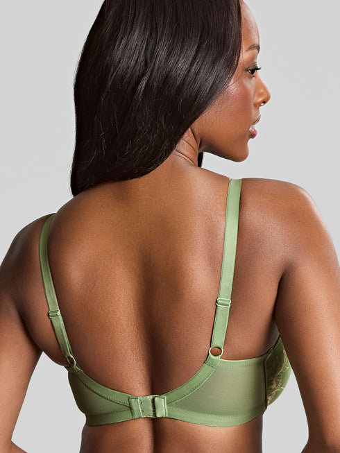 Panache Ana – High Apex Padded Plunge